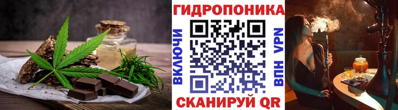 kraken как зайти  Колпашево  Cannafood марихуана 