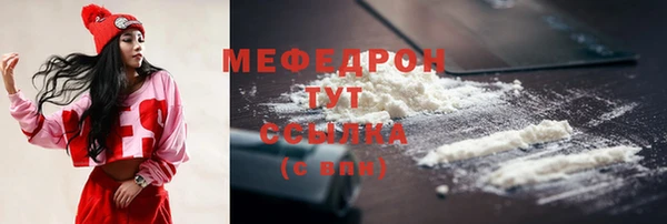 трава Няндома