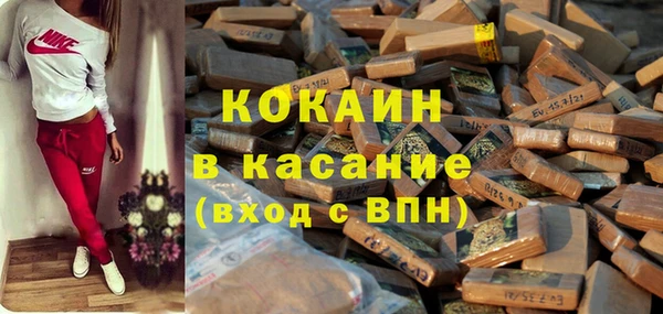трава Няндома
