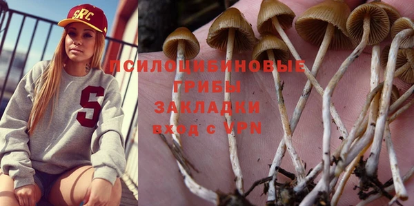 кристаллы Осинники