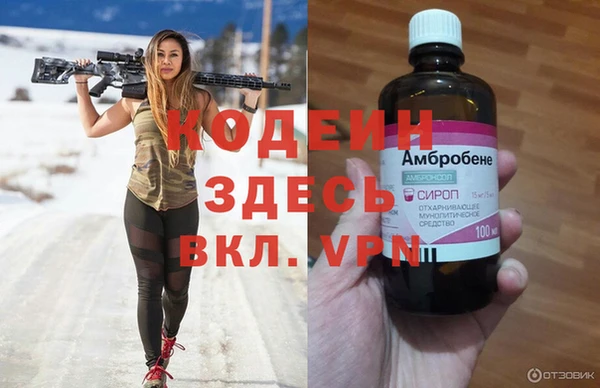 трава Няндома