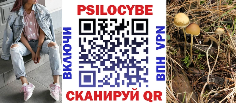 мега ONION  цена   Колпашево  Псилоцибиновые грибы Psilocybe 